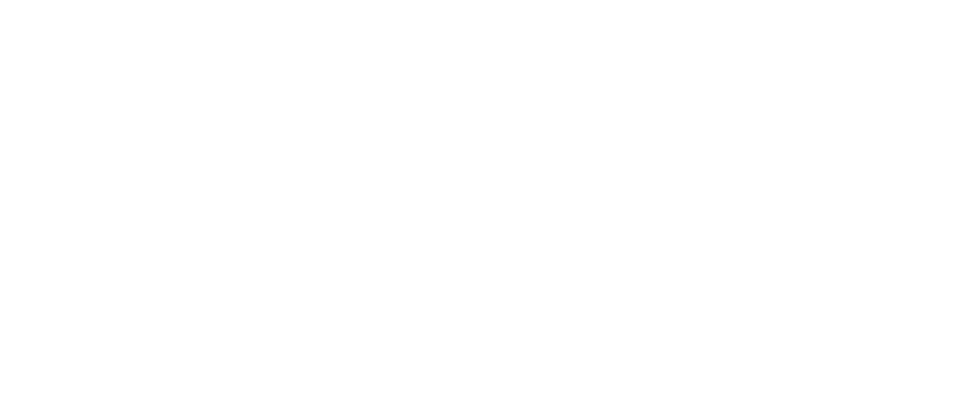 BITTER - White logo - no background